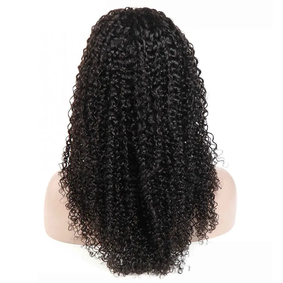 Back view of the Jerry Curly Transparent 13*4 Lace Frontal Virgin Hair Wig, showcasing its natural black color and bouncy curly texture.